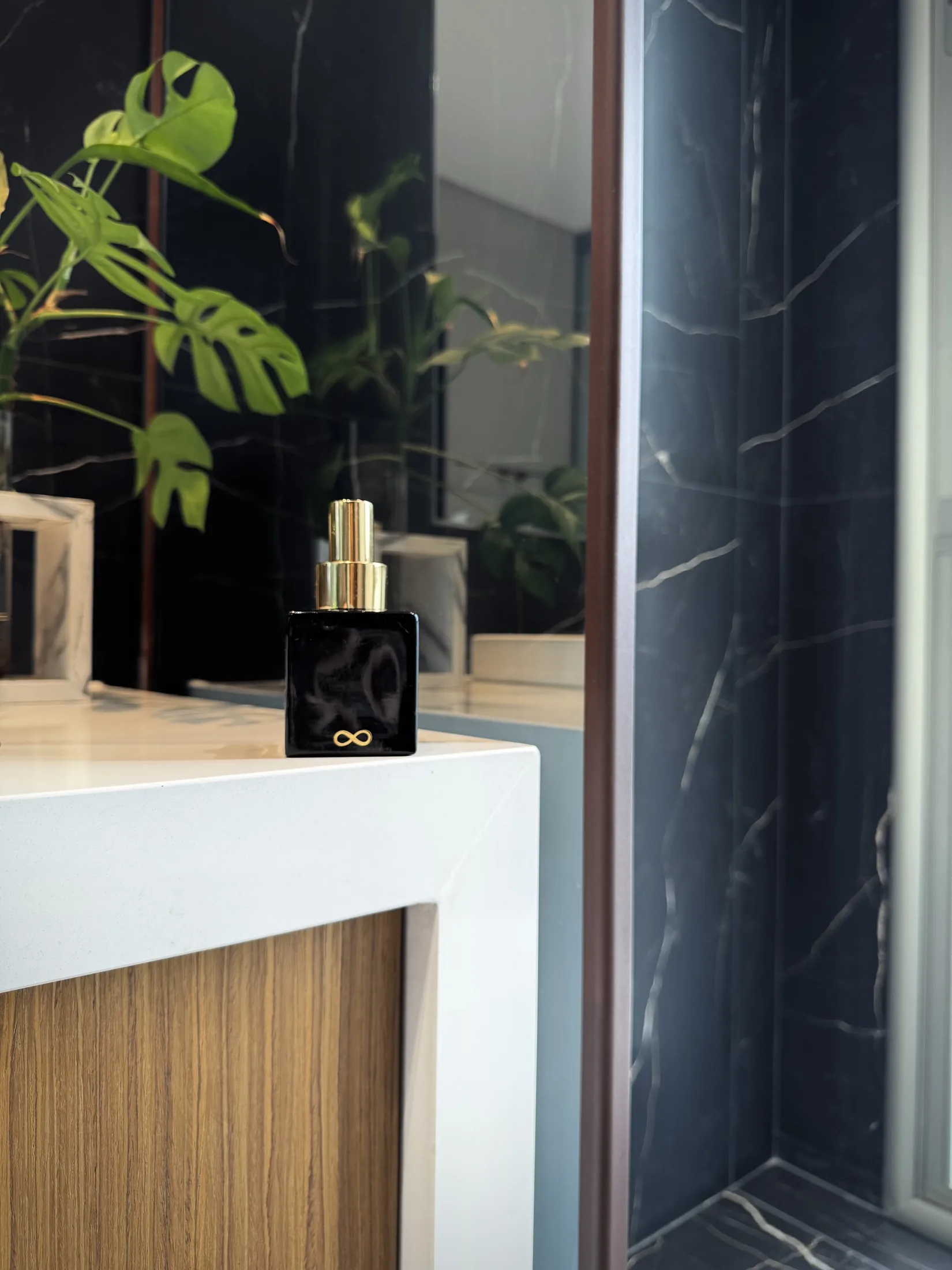 Voyde botanical Energy Mist